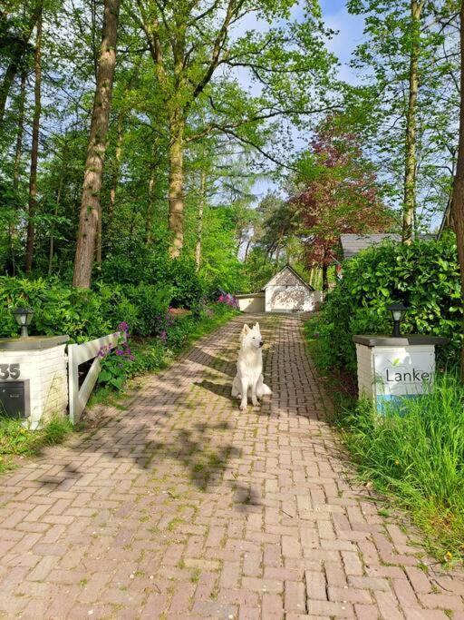 Lanke Garden Studio Rijsbergen Bagian luar foto